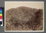 View of Vaea hill, Samoa, ca. 1897