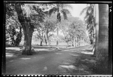 Palm Drive & school - horizontal