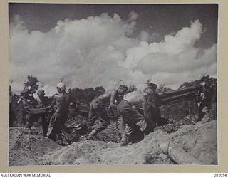 BOUGAINVILLE. 1945-05-16. GUNNERS OF 21 BATTERY, 2/11 FIELD REGIMENT, ROYAL AUSTRALIAN ARMY, PULLING A 25 POUNDER INTO POSITION WITH DRAG ROPES. THE REGIMENT HAS MOVED UP FROM TOKO TO SUPPORT 15 ..
