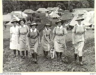 1943-06-15. NEW GUINEA. NURSES AT AN AUSTRALIAN CASUALTY CLEARING STATION WALK UP A HILL TO THEIR MESS. LEFT TO RIGHT, SISTERS V. HAMILTON, OF QUIRINDI, N.S.W., P. PYM, OF BRISBANE, M. MARSHALL OF ..