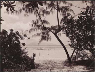 Ureparapara viewed from Rowa, Banks Islands, 1906 / J.W. Beattie