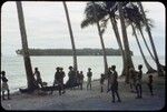 Chopping a coconut palm