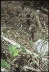 Woman clearing brush from newly cleared garden site