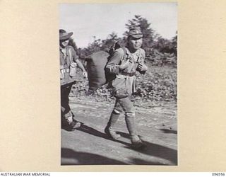 BOUGAINVILLE, 1945-09-23. PRIVATE H.W. DOUGLAS, 27 INFANTRY BATTALION, HURRYING ALONG ONE OF THE JAPANESE NAVAL TROOPS WHO HAD DROPPED OUT OF A 10-MILE MARCH FROM THE BUKA AREA. THEY WERE HANDED ..