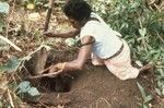 Nevinbong in the bush