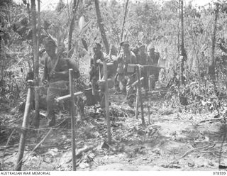 SOUTH BOUGAINVILLE ISLAND. 1945-01-24. TROOPS OF "D" COMPANY, 9TH INFANTRY BATTALION, MOVING PAST THE TEMPORARY GRAVES OF AUSTRALIAN TROOPS KILLED DURING FIGHTING IN THE AREA AS THEY MOVE FORWARD ..