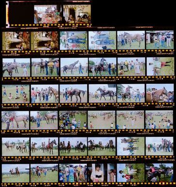 Horse races, Western Samoa