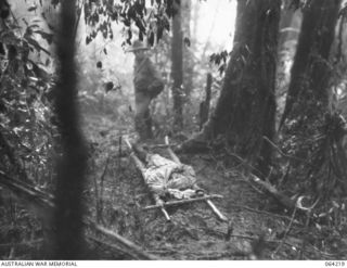 SHAGGY RIDGE, NEW GUINEA. 1944-01-22. A WOUNDED MEMBER OF "A" COMPANY, 2/12TH INFANTRY BATTALION BEING BROUGHT DOWN FROM MOUNT PROTHERO TO THE ADVANCED DRESSING STATION