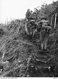 FINISTERRE RANGES, NEW GUINEA. 1944-01-23. PERSONNEL OF "D" COMPANY, 2/9TH INFANTRY BATTALION MOVING IN TO A FORWARD POSITION DURING THE BATTLE FOR SHAGGY RIDGE