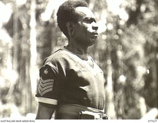 KAMALGAMAN ANCHORAGE, JACQUINOT BAY, NEW BRITAIN. 1944-12-23. NIGATAMI, THE SERGEANT MAJOR OF THE ROYAL PAPUAN CONSTABULARY, NEW BRITAIN DISTRICT. THIS NATIVE HAS HAD MORE THAN 20 YEARS SERVICE ..