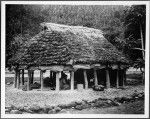 Samoan family in their house, ca.1900