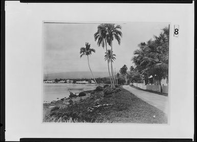 Apia, Samoa; the view from Sogi