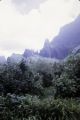 French Polynesia, landscape and mountains of Moorea Island