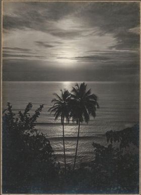 [Sunset over the sea with palm tree, Papua New Guinea,1]