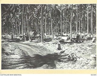 KANOMI BEACH, NEW GUINEA. 1944-01-04. GENERAL VIEW OF TACTICAL HEADQUARTERS 9TH DIVISION IN A COCONUT PLANTATION AT THE REAR OF THE BEACH