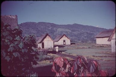 Our house : Minj Station, Wahgi Valley, Papua New Guinea, 1954 / Terence and Margaret Spencer