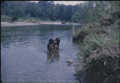 Screw River (anopheline mosquito stream-breeding) (3) : Maprik, Papua New Guinea,1959 / Terence and Margaret Spencer