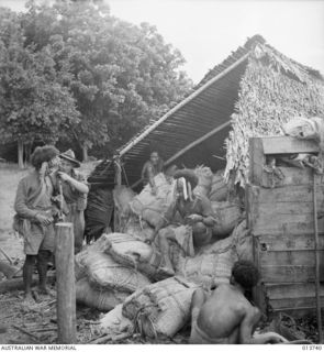 NEW GUINEA. STOREHOUSE OF RICE ON BUNA ROAD LEFT BEHIND WHEN THE JAPS RETREATED. RICE IS NOW BEING USED BY OUR TROOPS. (NEGATIVE BY G. SILK)