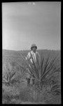 European man behind sisal plant, at Fairfax Plantation