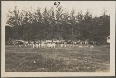 Tug of war at the sports, Rabaul, New Britain Island, Papua New Guinea, approximately 1916
