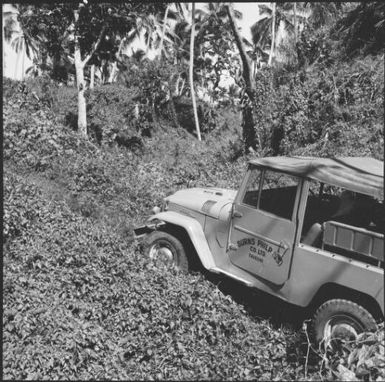 Remains of an old fort, Taveuni, Fiji, 1966, 3 / Michael Terry