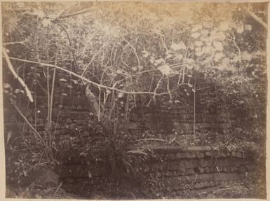 Ruins at Pohnpei, 1886