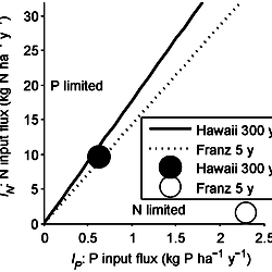Model predictions for N vs. P limitation in the youngest Hawai’i and Franz Josef sites.