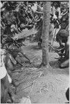 Pig festival, uprooting cordyline ritual: war ally re-enacts killing an enemy by cutting down casuarina tree