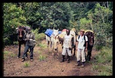 Team members with pack-horses