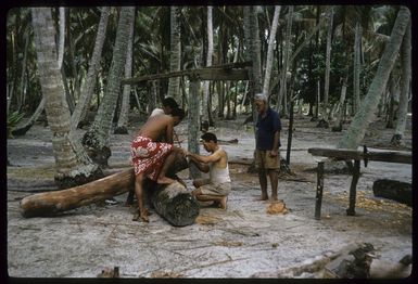 A group of unidentified men measuring tamanu timber, Palmerston Island, Cook Islands