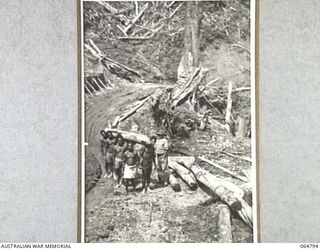 WAU, NEW GUINEA. 1944-02-11. NEW GUINEA NATIVES WORKING WITH ENGINEERS OF THE 2/4TH FIELD SQUADRON, ROYAL AUSTRALIAN ENGINEERS, ON THE CONSTRUCTION OF THE WAU ROAD