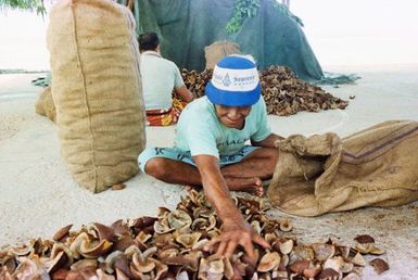 Men sorting copra
