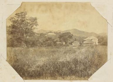 View of both European and native dwellings, New Caledonia, ca. 1870s / Allan Hughan