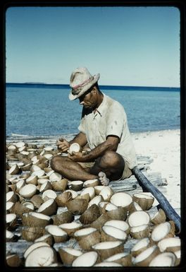 John Simona Marsters processing copra, Palmerston Atoll