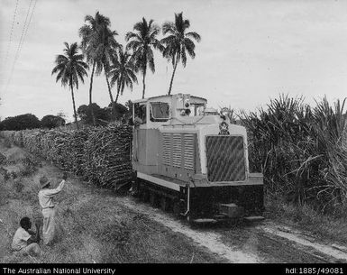 Train carting cane to Lautoka Mill