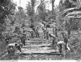 BOUGAINVILLE ISLAND. 1945-02-02. PIONEERS OF THE 9TH INFANTRY BATTALION BUILDING A CORDUROY ROAD THROUGH THE JUNGLE. IDENTIFIED PERSONNEL ARE:- PRIVATE T.L. HAINES (1); CORPORAL A.R. ANDERSON (2); ..