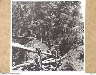 KOKODA TRAIL, NEW GUINEA. 1943-12-19. MEN OF THE 2/9TH AUSTRALIAN INFANTRY BATTALION MOVING TO THE LOCATION POINT IN THE OWEN STANLEY RANGES FOR THE FILMING OF SEQUENCES FOR THE "RATS OF TOBRUK" BY ..