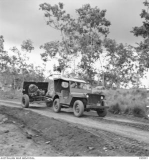 PORT MORESBY, NEW GUINEA. 1943-11-15. A "NORMAL" 25-POUNDER GUN OF THE 2/5TH AUSTRALIAN FIELD REGIMENT HITCHED TO A JEEP AND READY FOR THE ROAD