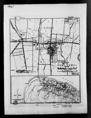 1940 Census Enumeration District Maps - Hawaii - Hawaii County - Hawi - ED 1-65