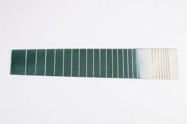 fretboard