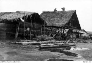 TADJI AIRSTRIP, AITAPE, NEW GUINEA. 1944. NATIVES CONSTRUCT A LARGE HUT FOR THE PADRE WITH NO. 100 SQUADRON RAAF, USING LOCAL MATERIALS