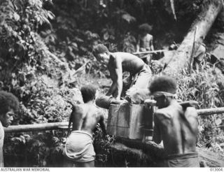 1942-08-06. PAPUA. NATIVE BEARERS (POPULARLY KNOWN AS FUZZY WUZZY ANGELS) CARRY HEAVY LOADS OF EQUIPMENT AND SUPPLIES FOR THE AUSTRALIAN TROOPS. ONE "BOY" USUALLY CARRIES ABOUT 50 LBS WEIGHT, AND ..