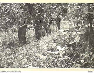 BOUGAINVILLE ISLAND. 1945-01-31. MEMBERS OF A PATROL FROM D COMPANY, 9TH INFANTRY BATTALION MOVING UP TO A UNIT FORWARD POSITION ON THE MOSIGETTA ROAD. IDENTIFIED PERSONNEL ARE:- PRIVATE HURDEN ..