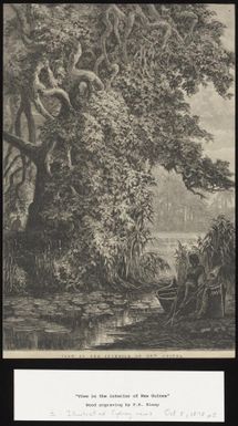 View in the interior of New Guinea / J.W.C.; F.A. Sleap