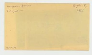 [Laysan Finch in Hawaii, envelope IE30-181]