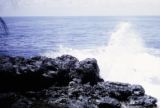 French Polynesia, volcanic rock on shoreline in Papeete