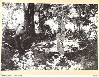 RABAUL, NEW BRITAIN, 1945-09-15. JAPANESE TROOPS WERE USED TO PREPARE CAMP SITES FOR HQ 11 DIVISION AND 4 INFANTRY BRIGADE. SHOWN, CHAPLAIN H.H. KETTLE, HQ 11 DIVISION, CLEARING HIS TENT SITE WITH ..