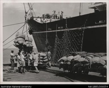 Loading sugar at the wharf, Lautoka