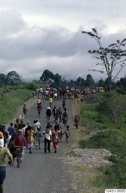 ["fotografi, photograph"]