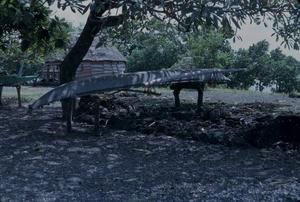 [Outrigger canoe on shore in Safotu, Samoa]
